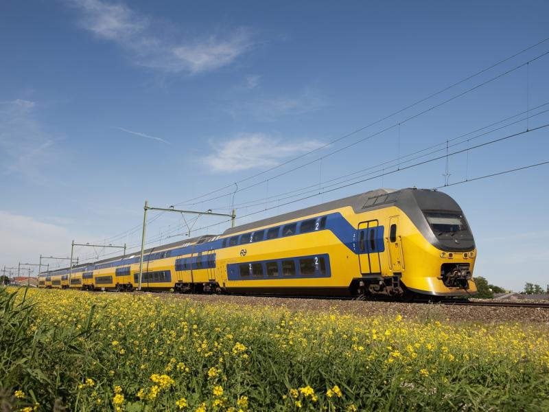 NS